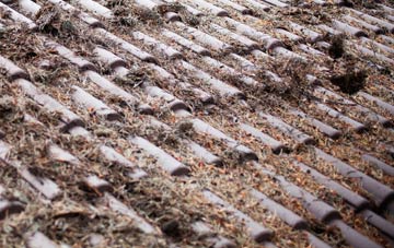 Upper Woodend roof cleaning companies